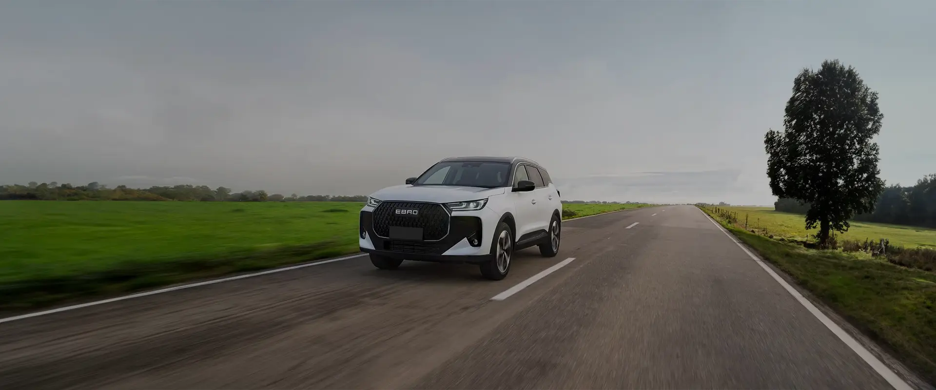 EBRO S700 1.6 TGDI Luxury 7 DCT LUXURY