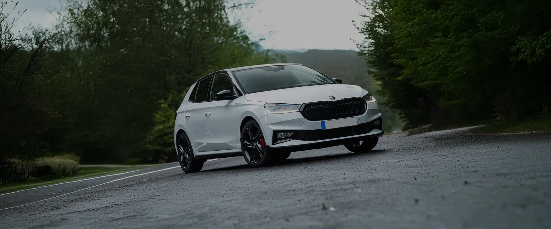 Skoda Fabia 1.0 TSI DSG Selection