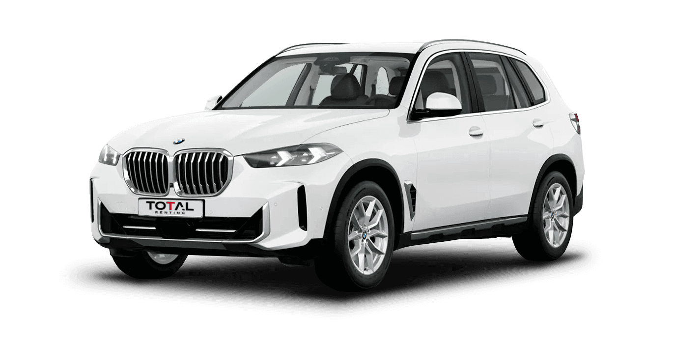 BMW X5 xDrive30d xLine 5