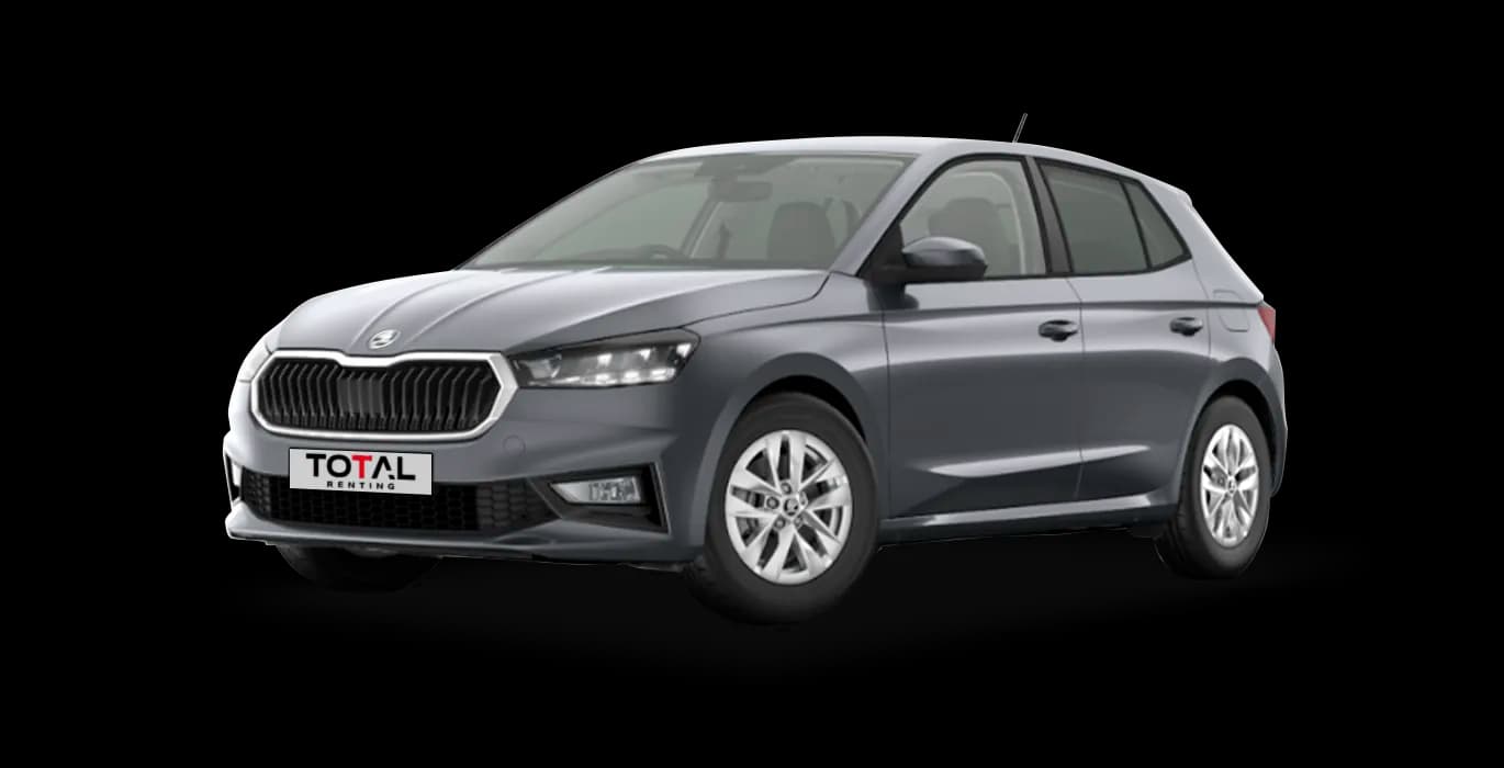 Skoda Fabia 1.0 TSI DSG Selection 6
