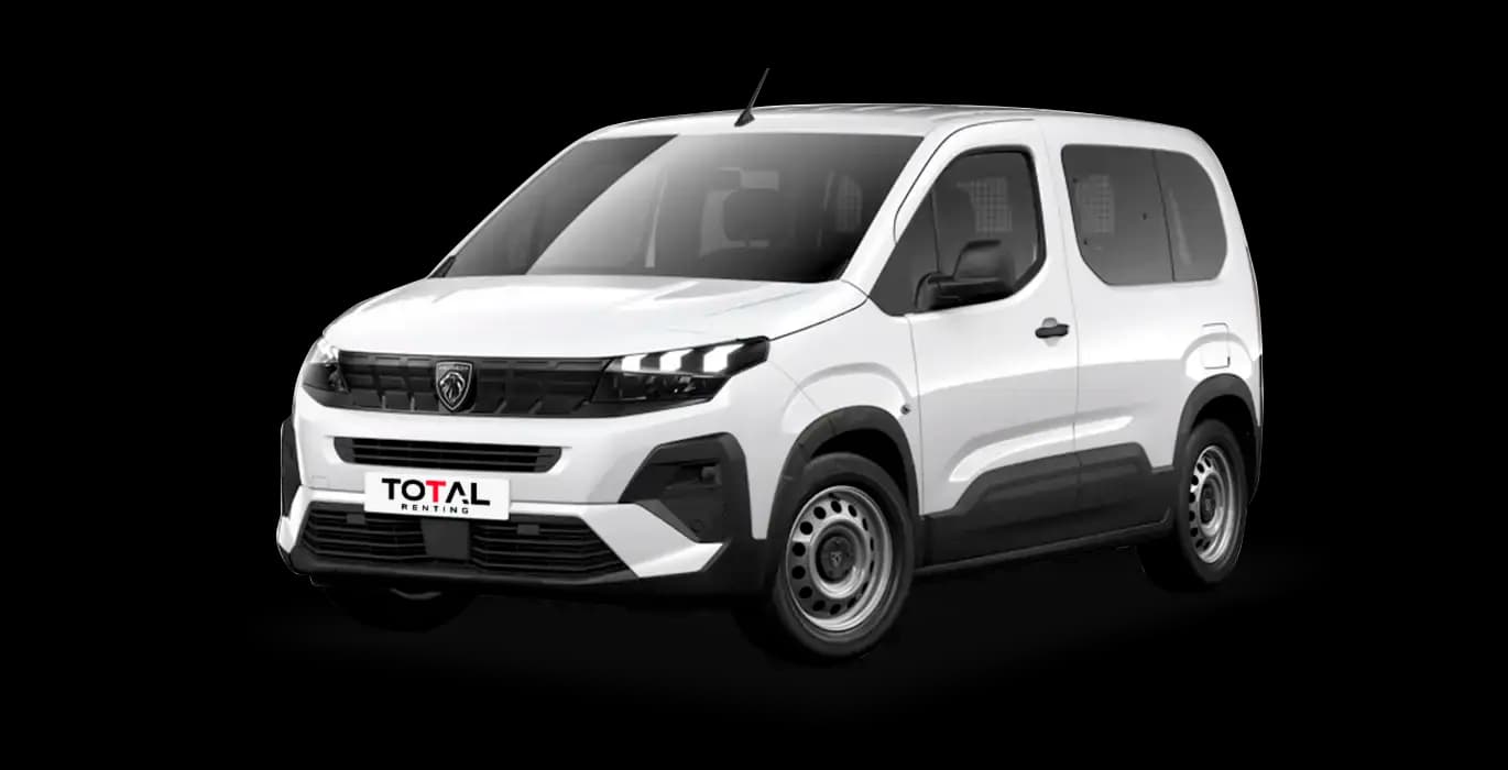 Peugeot Rifter Active Business Standard N1 BlueHDi 100 S&S 5