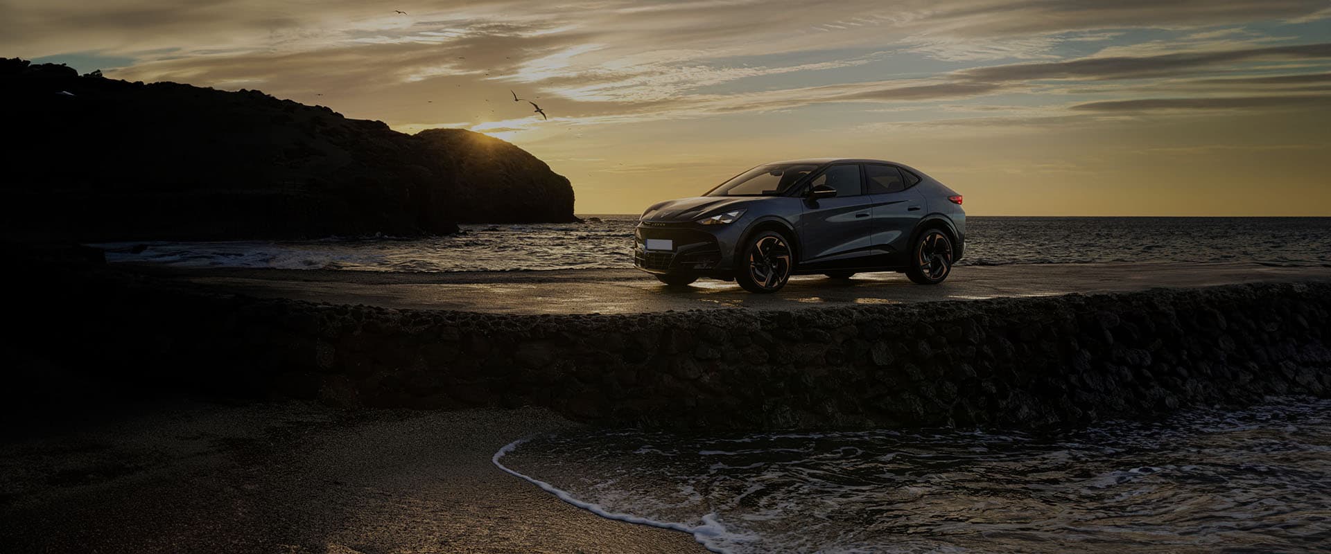 Cupra Tavascan Endurance First Edition
